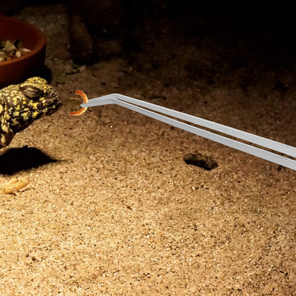 Planted Aquarium Tips - 2Pcs Reptile Feeding Tweezers Aquarium Long
