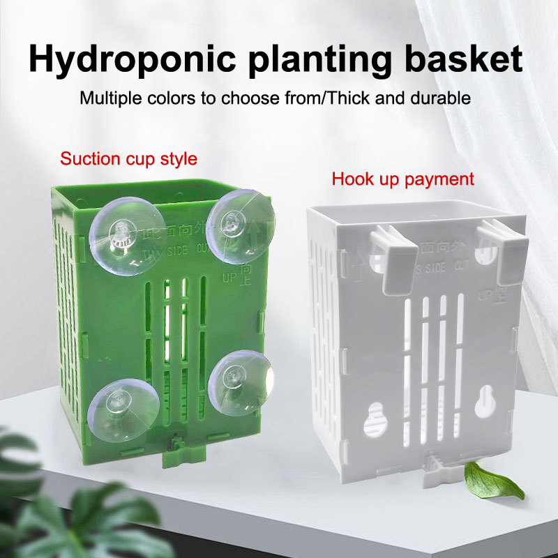 Aquarium Plant Rings - Hanging Suction Cup Hook Aquarium Plant
