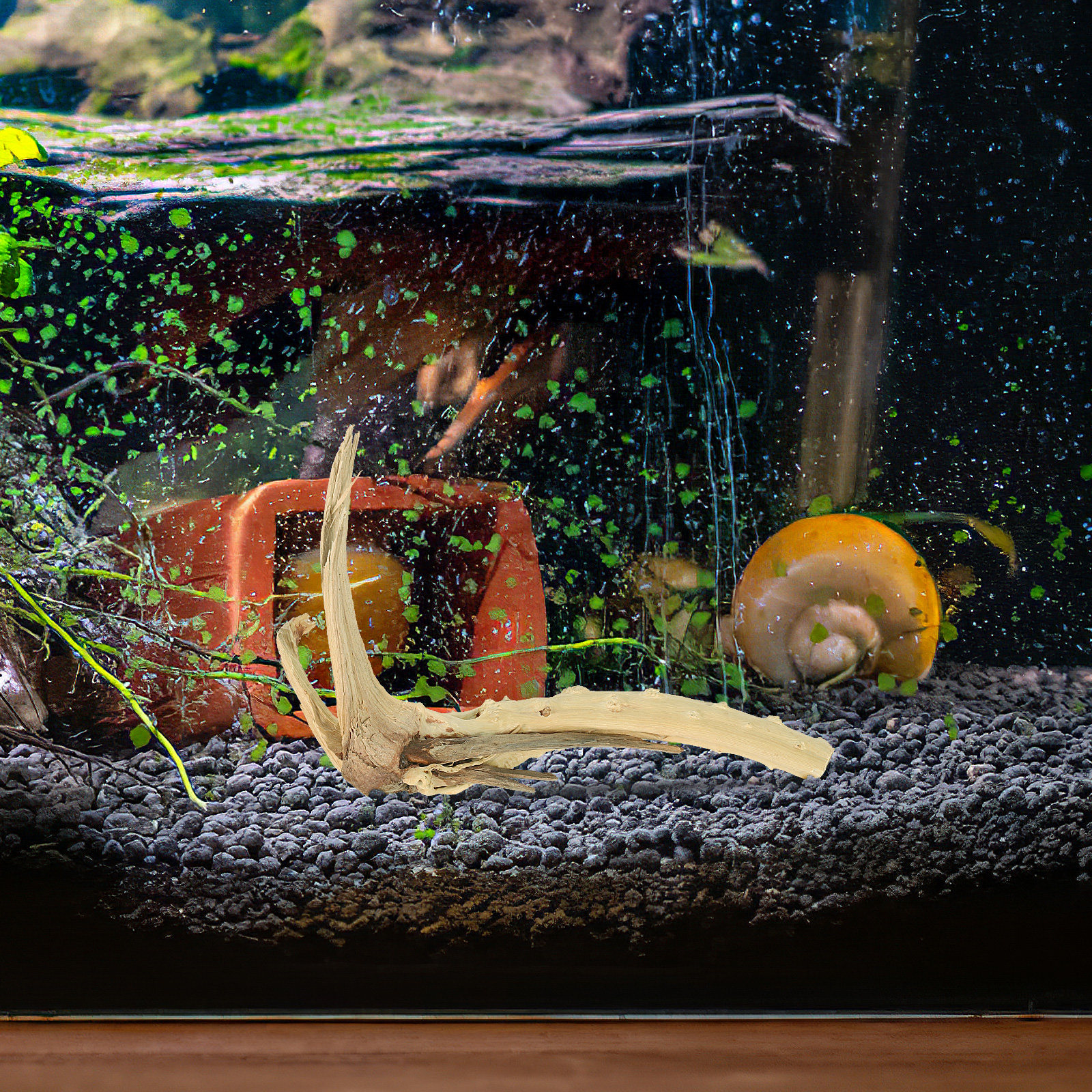 Planted Aquarium Ph - Driftwood Branch for Freshwater Aquarium Fish