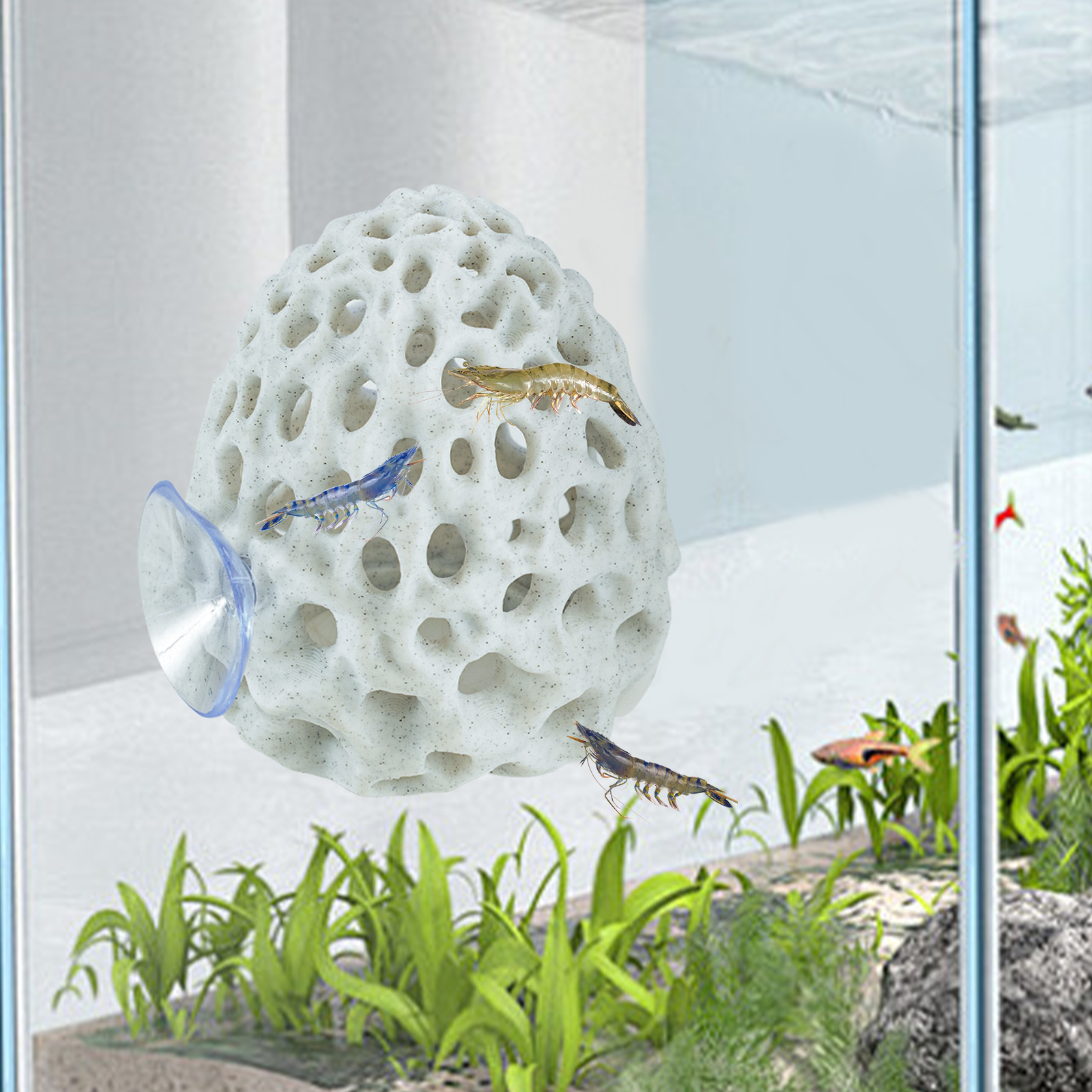 Aquarium Plant Rings - Shrimp Hides for Aquarium, Betta Fish