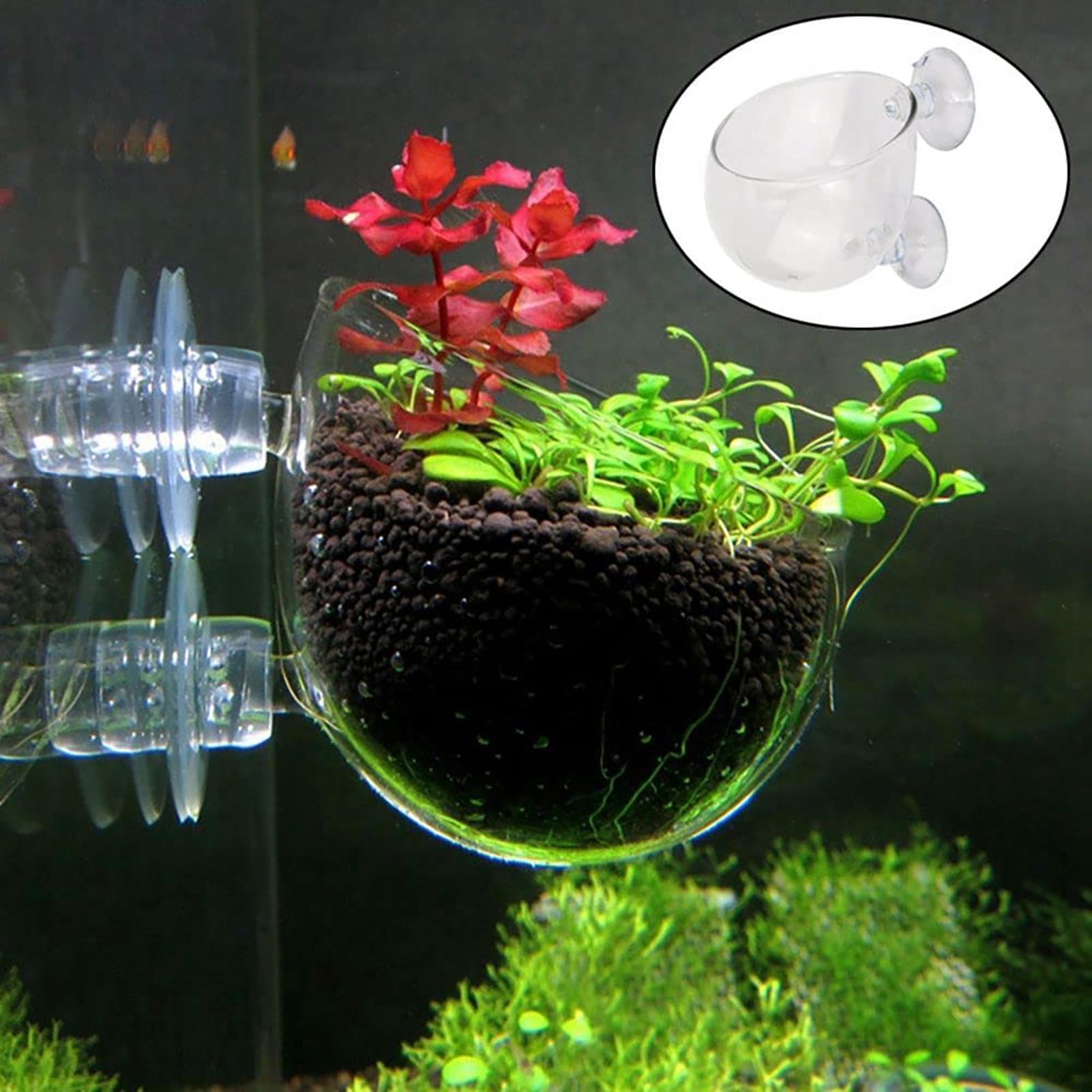 Aquarium Plant Rings - Aquatic Plant Pot Clear Acrylic Aquarium