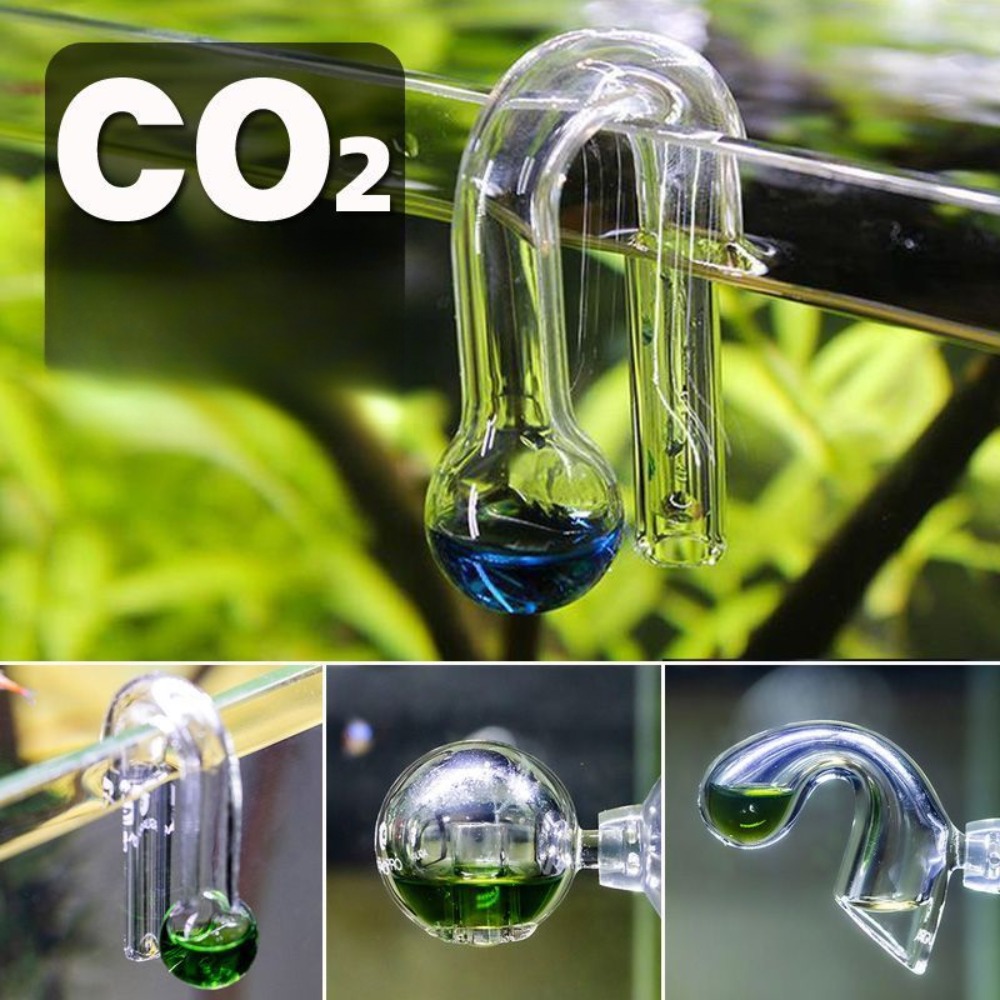 Planted Aquarium Ph - Diffuse Glass CO2 Drop Checker Aquarium