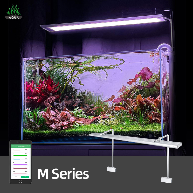 Planted Aquarium Cycling - Wrgb Led Aquarium Lights For Live