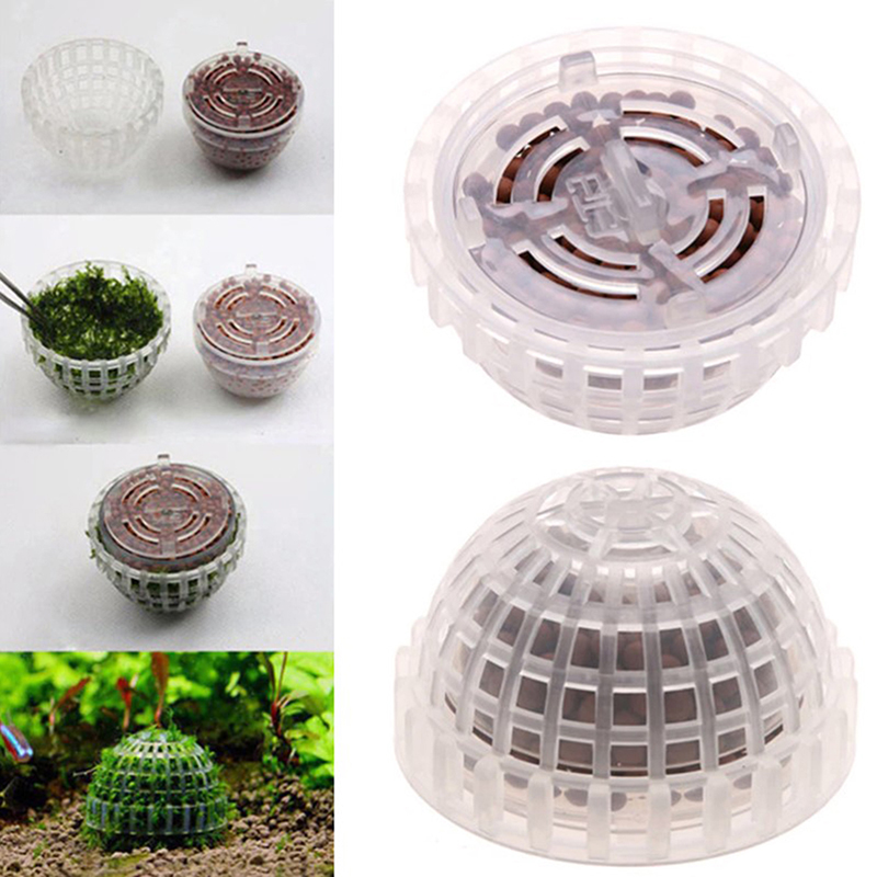 Planted Aquarium Maintenance - Aquatic Pet Supplies Decorations Aquarium Moss