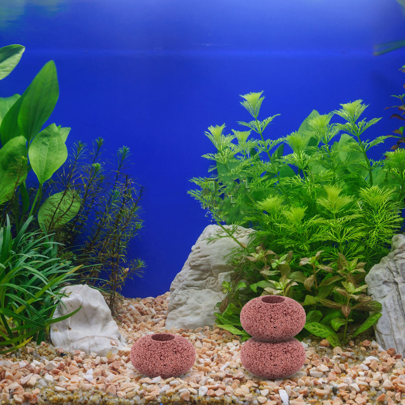 6Pcs Volcano Aquarium Rock Dec - Planted Aquarium Ph ulasan dan harga