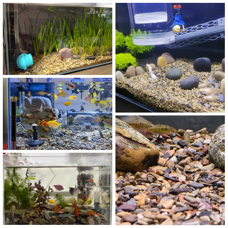 500g Fish Tank Bottom Sand Sto - Aquarium Planted Sand ulasan dan harga