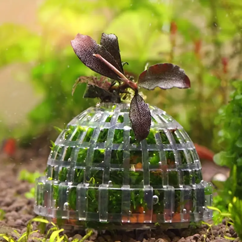 Plastic Aquarium Moss Ball Fil - Aquarium Plant Rings ulasan dan harga