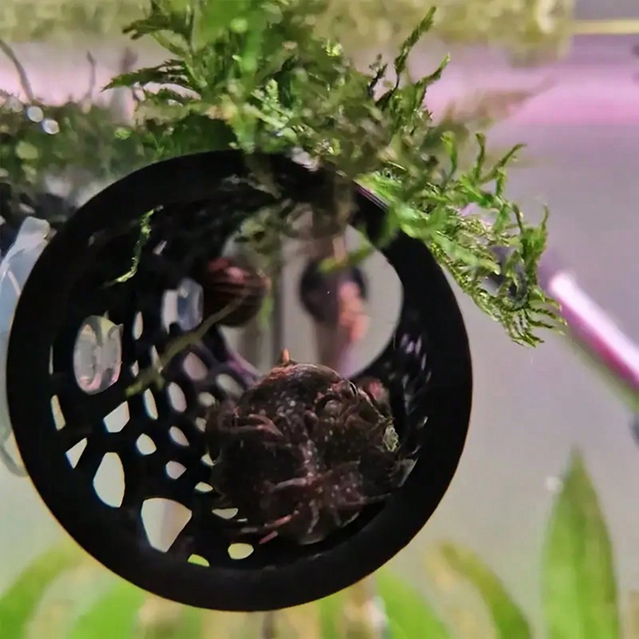 Aquarium Fish Hideout Black Ho - Aquarium Plant Rings ulasan dan harga