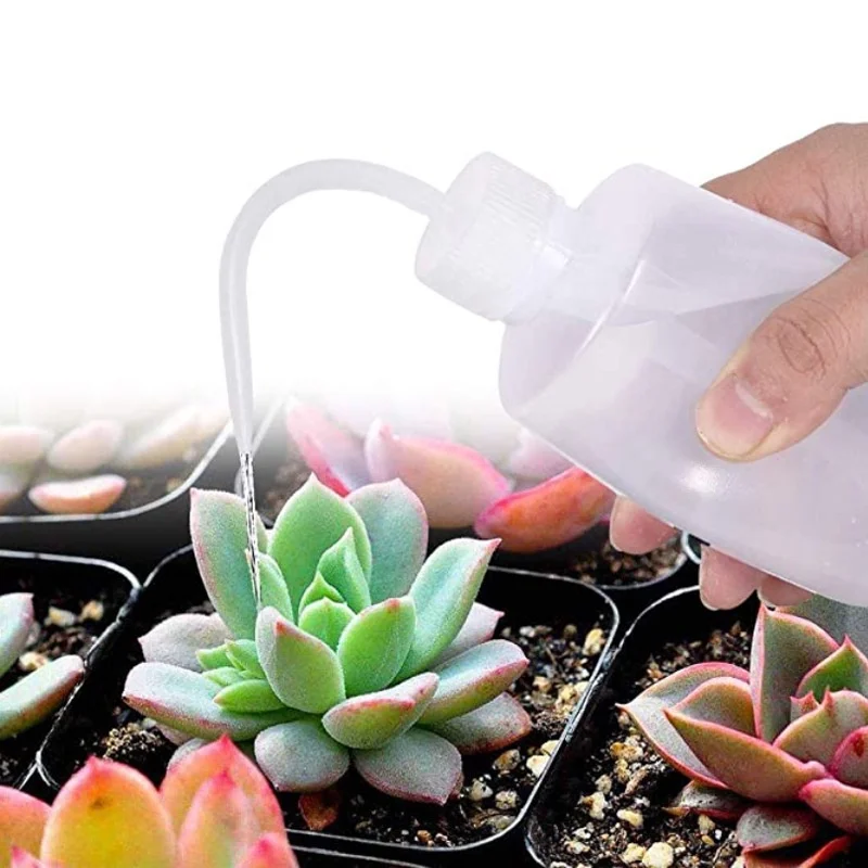 13Pcs Garden Planter Kit DIY S - Planted Aquarium Tools ulasan dan harga