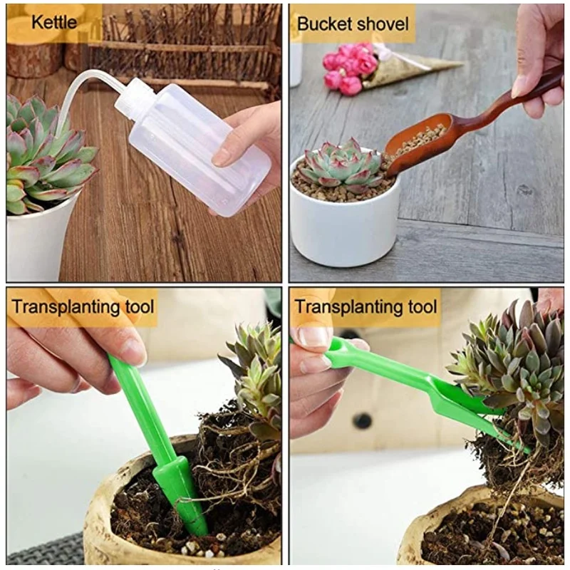 13Pcs Garden Planter Kit DIY S - Planted Aquarium Tools ulasan dan harga
