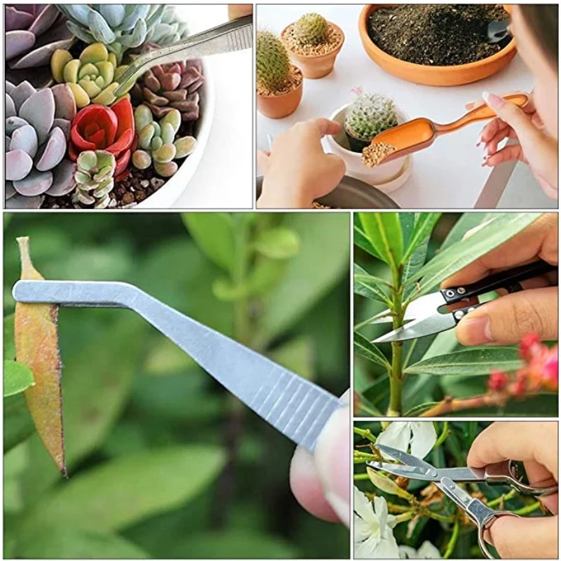 13Pcs Garden Planter Kit DIY S - Planted Aquarium Tools ulasan dan harga