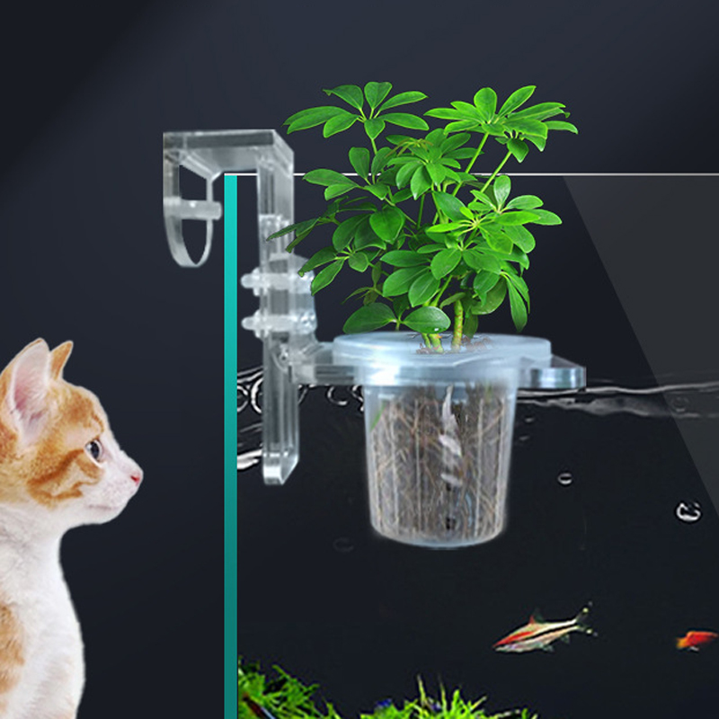 Fish Tank Planting Cups Hydrop - Aquarium Plant Rings ulasan dan harga