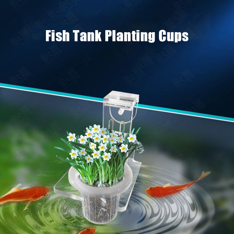 Fish Tank Planting Cups Hydrop - Aquarium Plant Rings ulasan dan harga