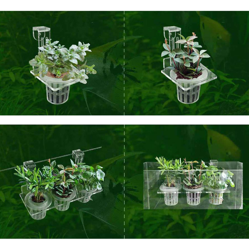 Fish Tank Planting Cups Hydrop - Aquarium Plant Rings ulasan dan harga