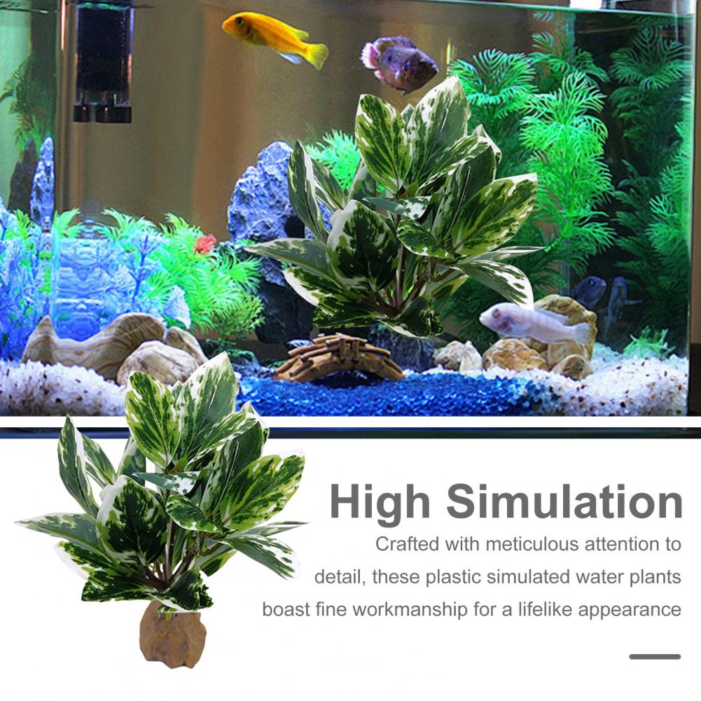 Low Maintenance Simulated Wate - Planted Aquarium Maintenance ulasan dan harga