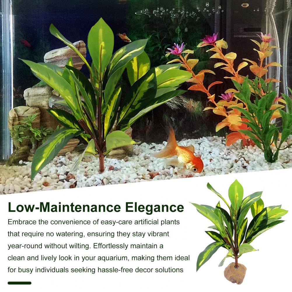 Low Maintenance Simulated Wate - Planted Aquarium Maintenance ulasan dan harga