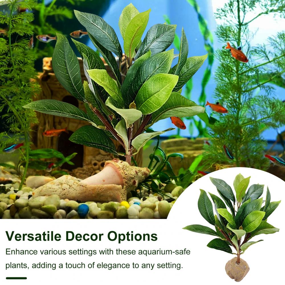Low Maintenance Simulated Wate - Planted Aquarium Maintenance ulasan dan harga