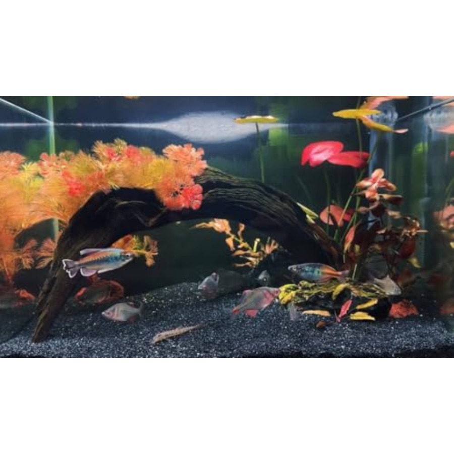 Aquarium Sand, 0 Fish Tank San - Aquarium Planted Sand ulasan dan harga