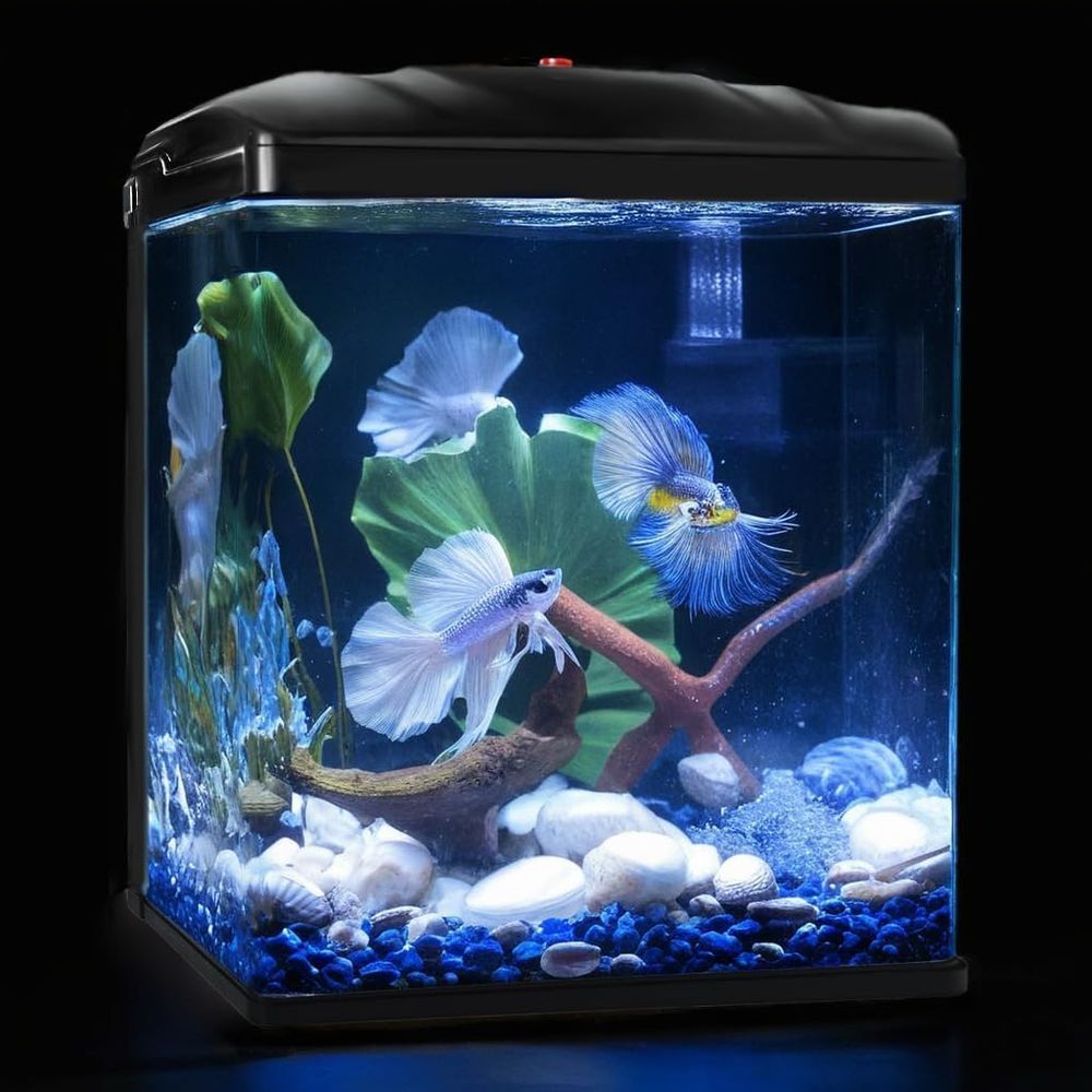 Small ish Tank, 2 Gallon Glass - Planted Aquarium Cleaning Kit ulasan dan harga