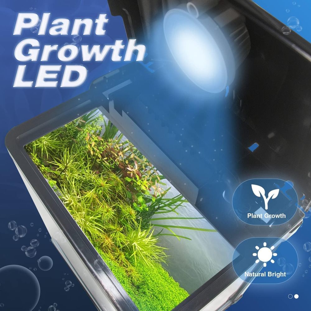 Small ish Tank, 2 Gallon Glass - Planted Aquarium Cleaning Kit ulasan dan harga