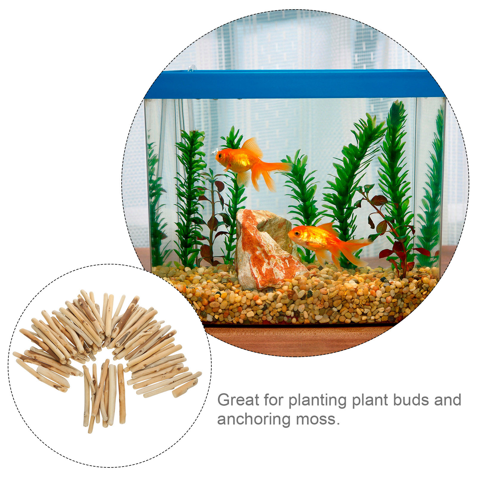 1Set Natural Driftwood Decorat - Planted Aquarium Ph ulasan dan harga