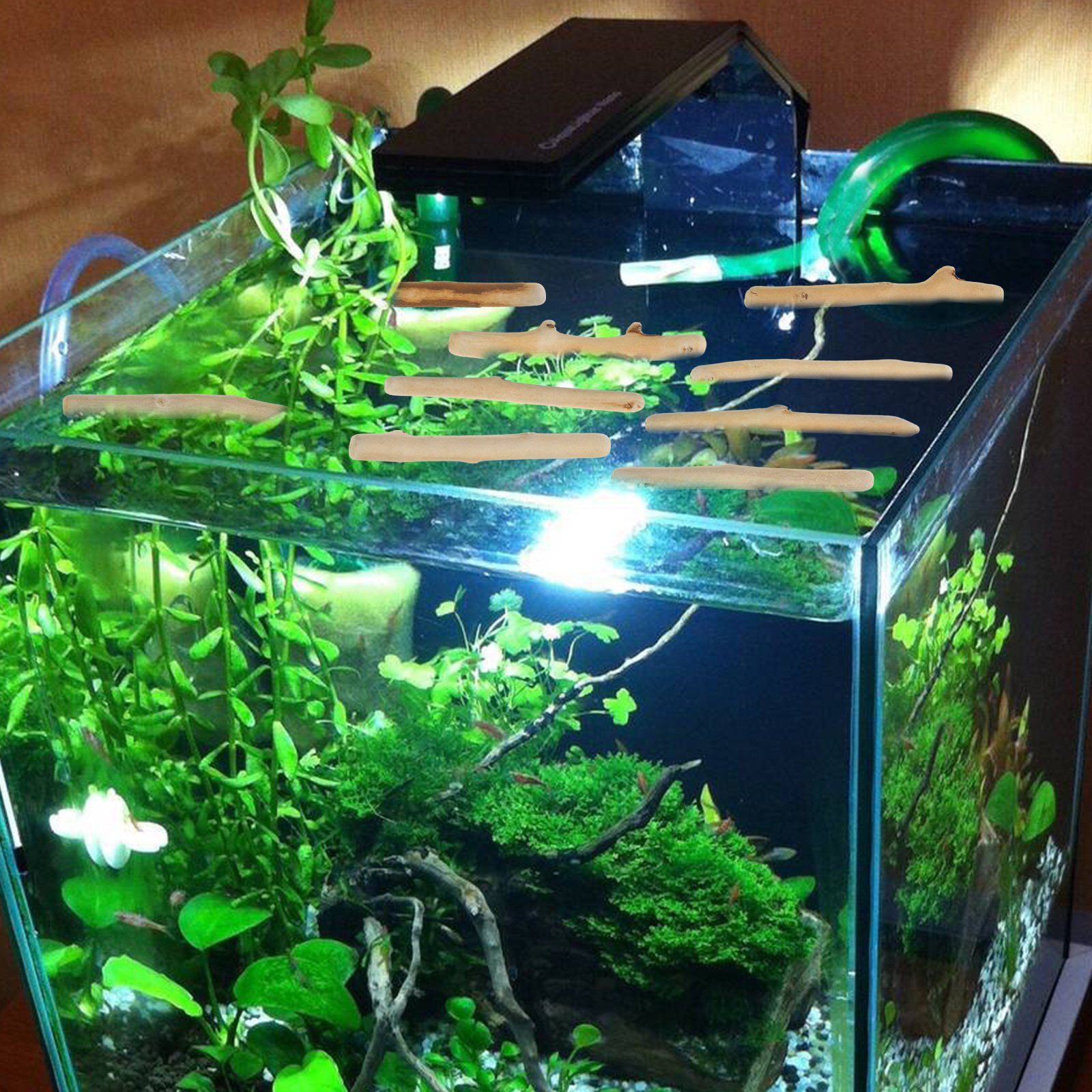 1Set Natural Driftwood Decorat - Planted Aquarium Ph ulasan dan harga