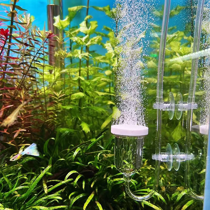 1Set Glass Air Pump Sand Stone - Aquarium Lily Pipe ulasan dan harga