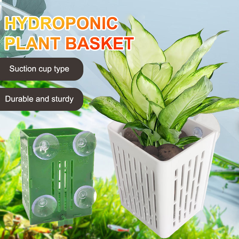 Hanging Suction Cup Hook Aquar - Aquarium Plant Rings ulasan dan harga