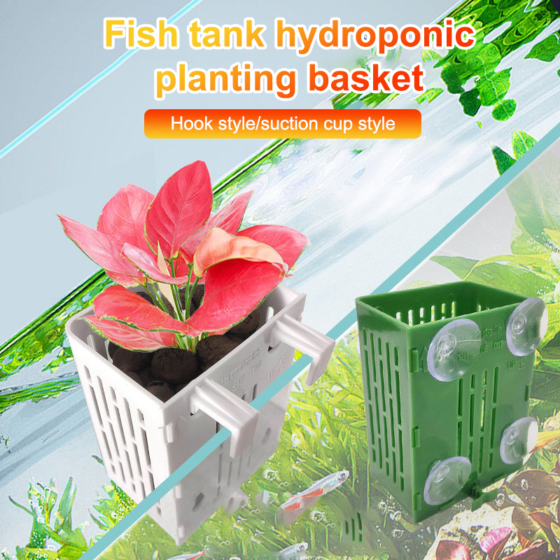 Hanging Suction Cup Hook Aquar - Aquarium Plant Rings ulasan dan harga