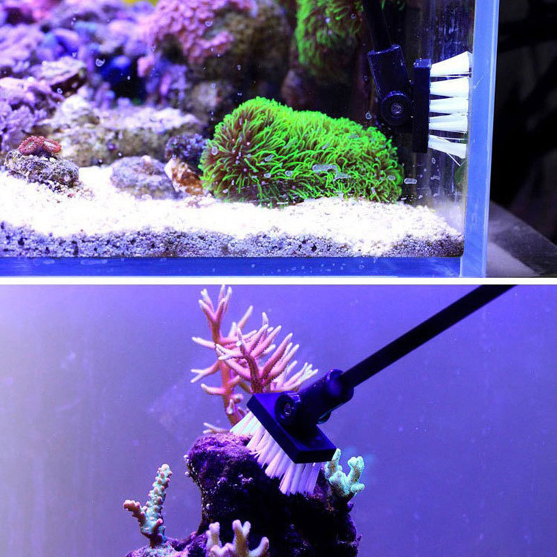 Fishing Cleaning Brush Plant T - Planted Aquarium Tools ulasan dan harga