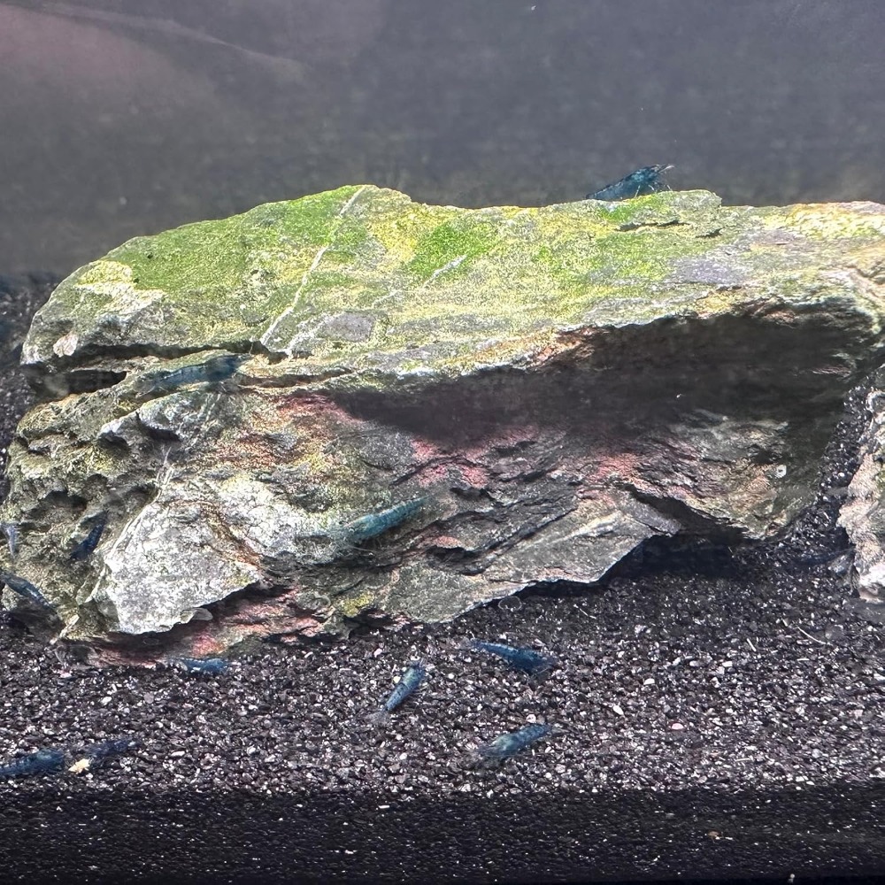Fish Tank Light Aquarium LED L - Planted Aquarium Tools ulasan dan harga
