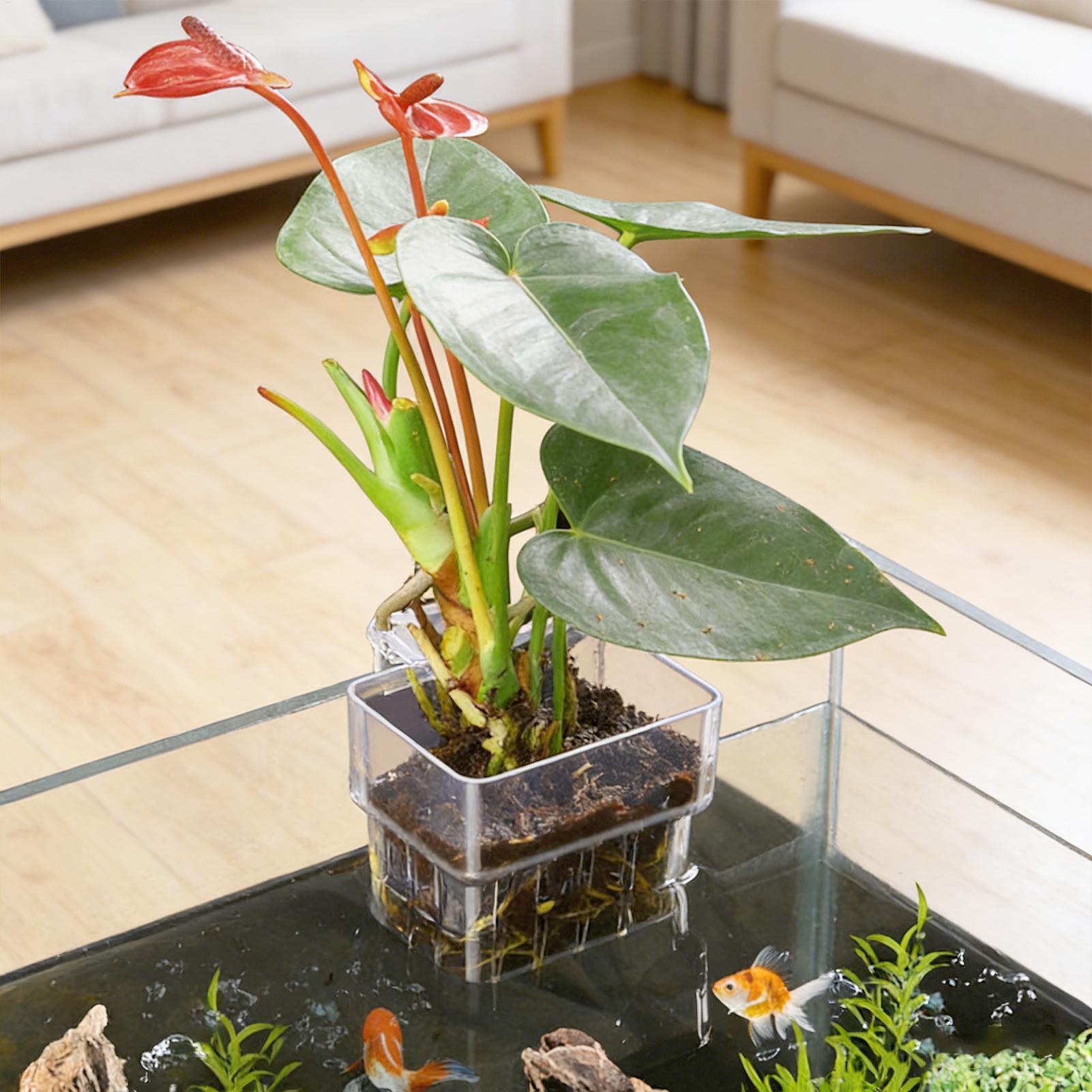 1pcs Plant Holder For Fish Tan - Aquarium Plant Rings ulasan dan harga