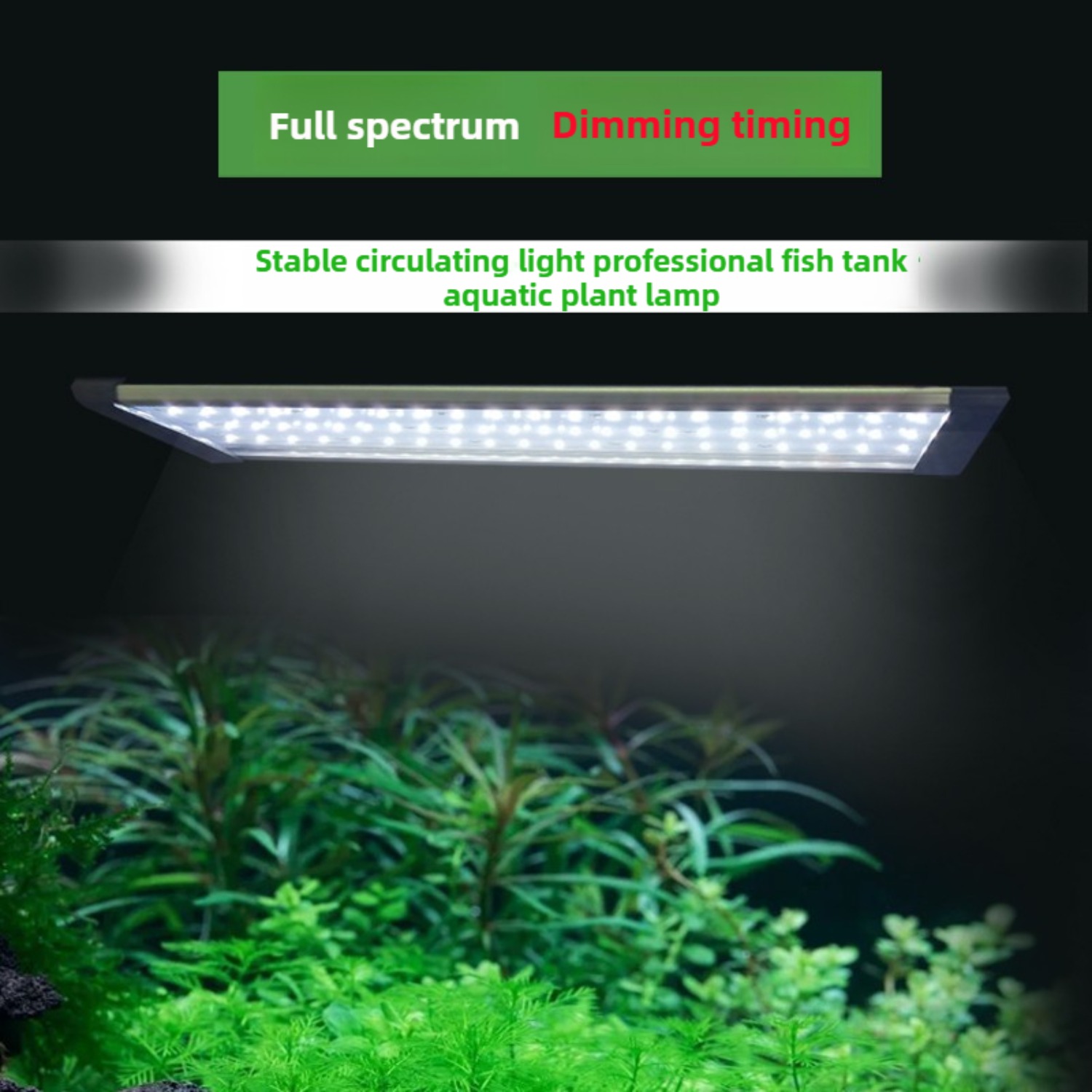 24/7 Cycle LED Aquarium Light  - Planted Aquarium Cycling ulasan dan harga