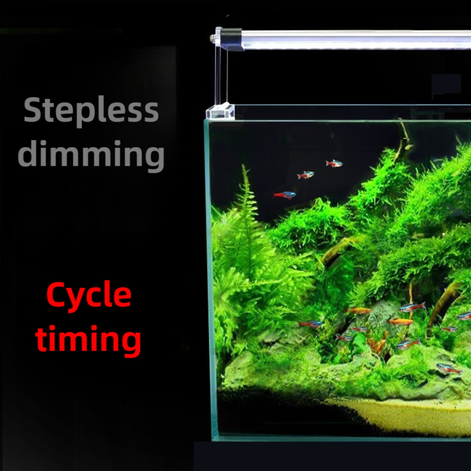 24/7 Cycle LED Aquarium Light  - Planted Aquarium Cycling ulasan dan harga