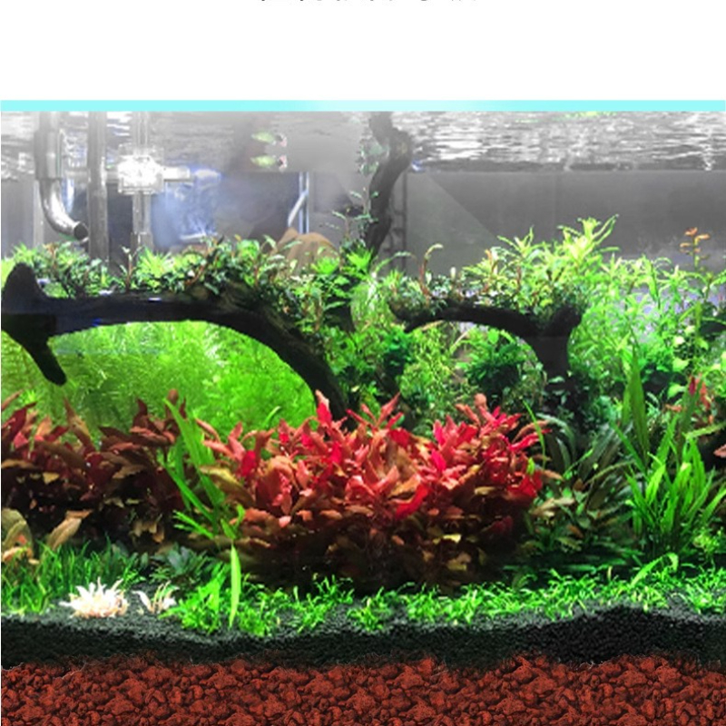 BESSN Volcanic Rock Aquarium S - Aquarium Planted Sand ulasan dan harga