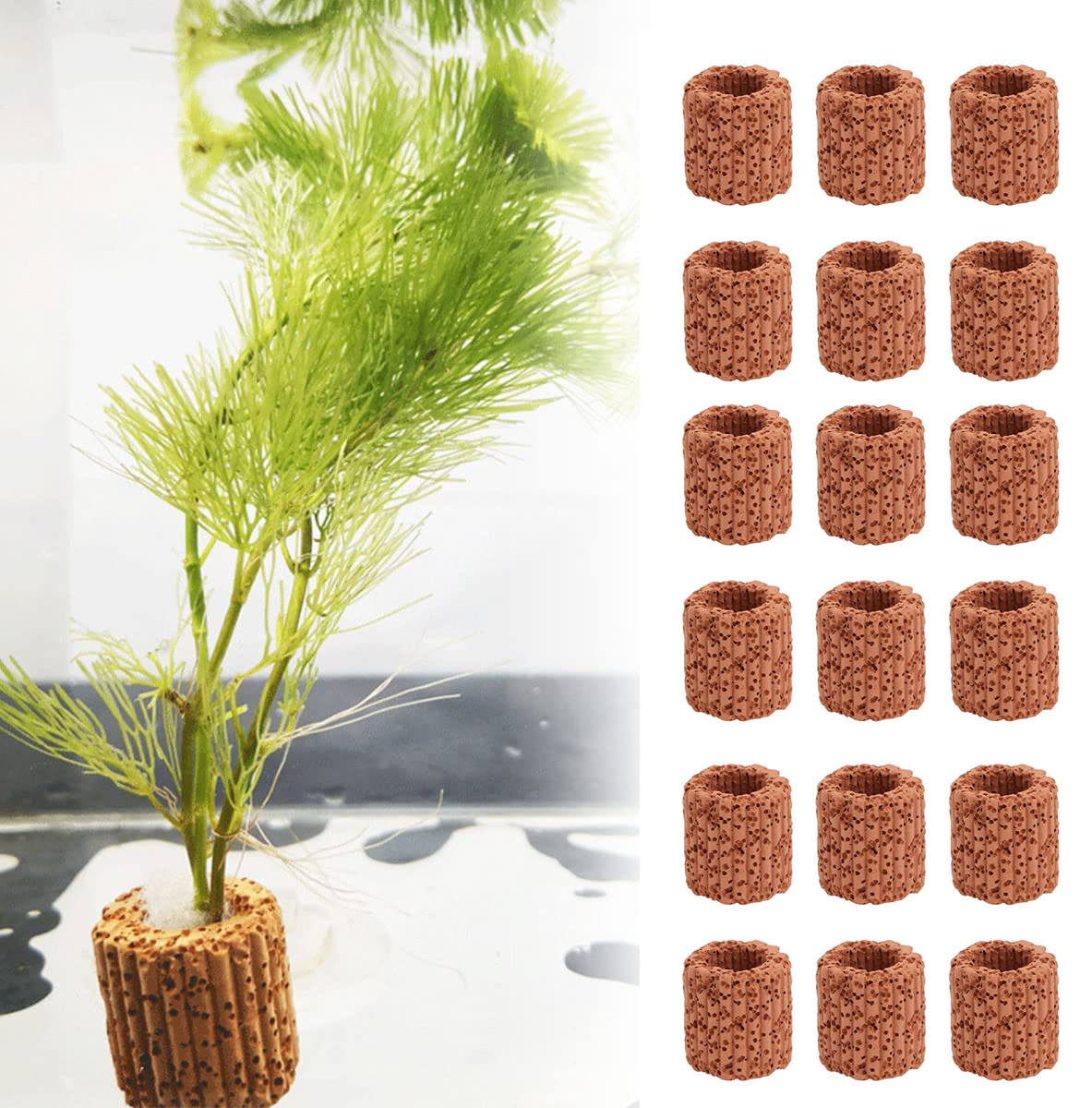 10/20Pcs Aquatic Water Plant F - Aquarium Plant Rings ulasan dan harga