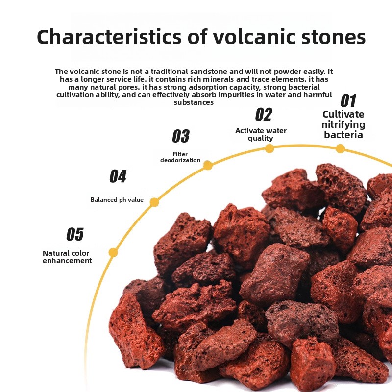 BESSN Volcanic Rock Aquarium S - Aquarium Planted Sand ulasan dan harga