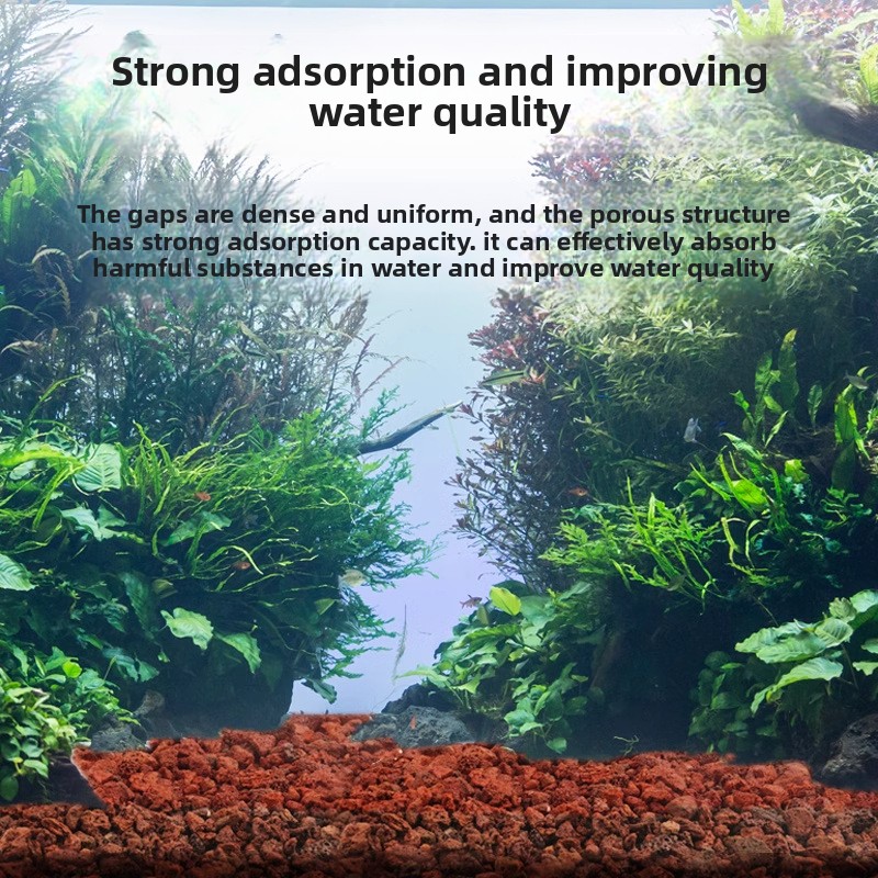 BESSN Volcanic Rock Aquarium S - Aquarium Planted Sand ulasan dan harga