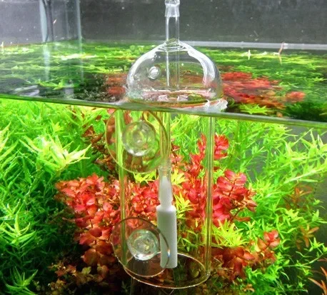 VIV Do Device Aquarium Cylinde - Aquarium Lily Pipe ulasan dan harga