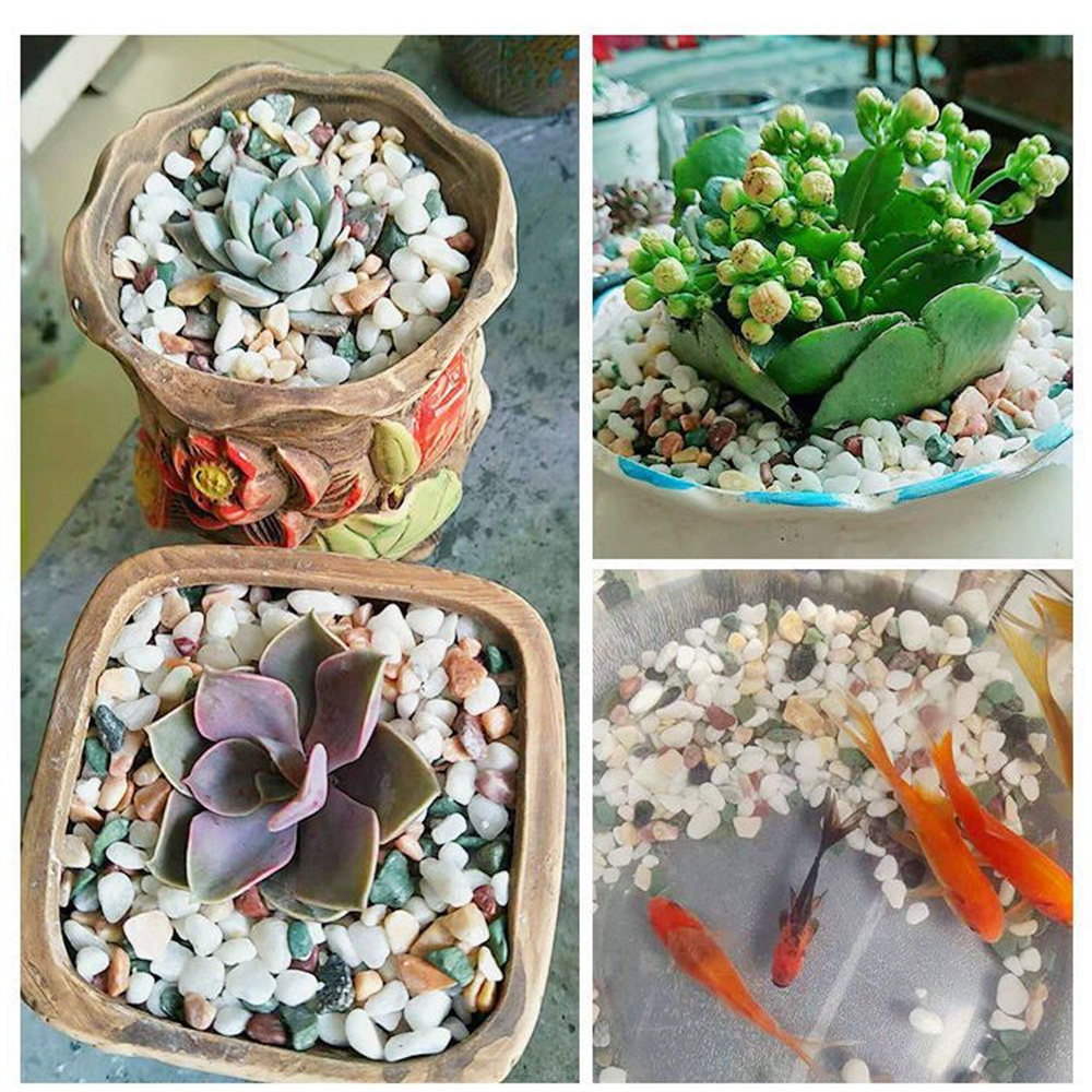 50/100g Natural Crystals Grave - Aquarium Planted Sand ulasan dan harga