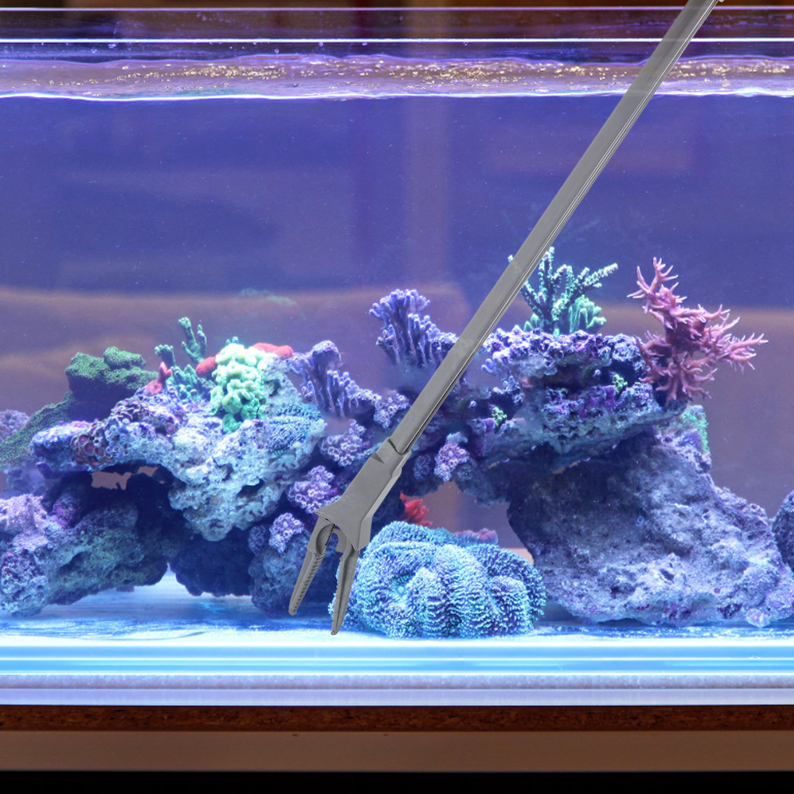 50Cm Long Aquarium Plant Tweez - Planted Aquarium Tips ulasan dan harga