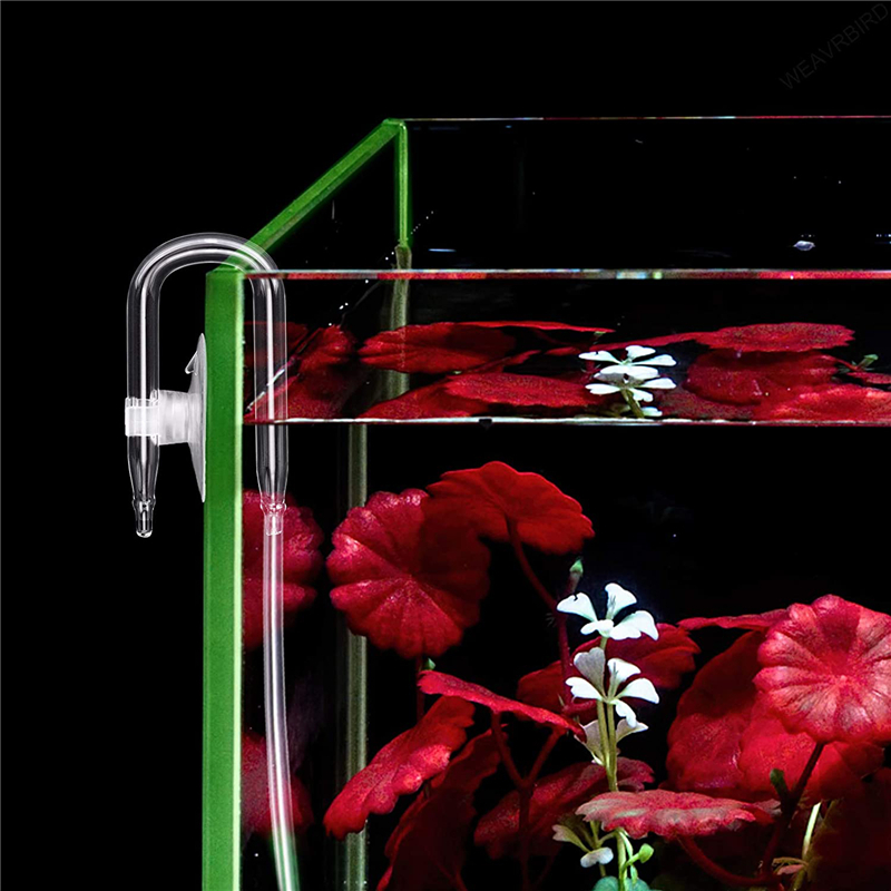 Aquarium U Shaped Air Pipe Con - Planted Aquarium Accessories ulasan dan harga