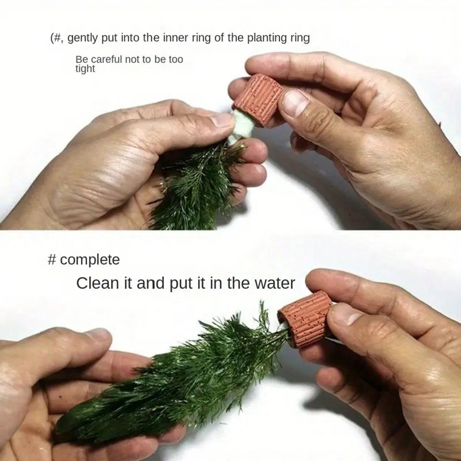 High   Quality Aquarium Plant  - Aquarium Plant Rings ulasan dan harga