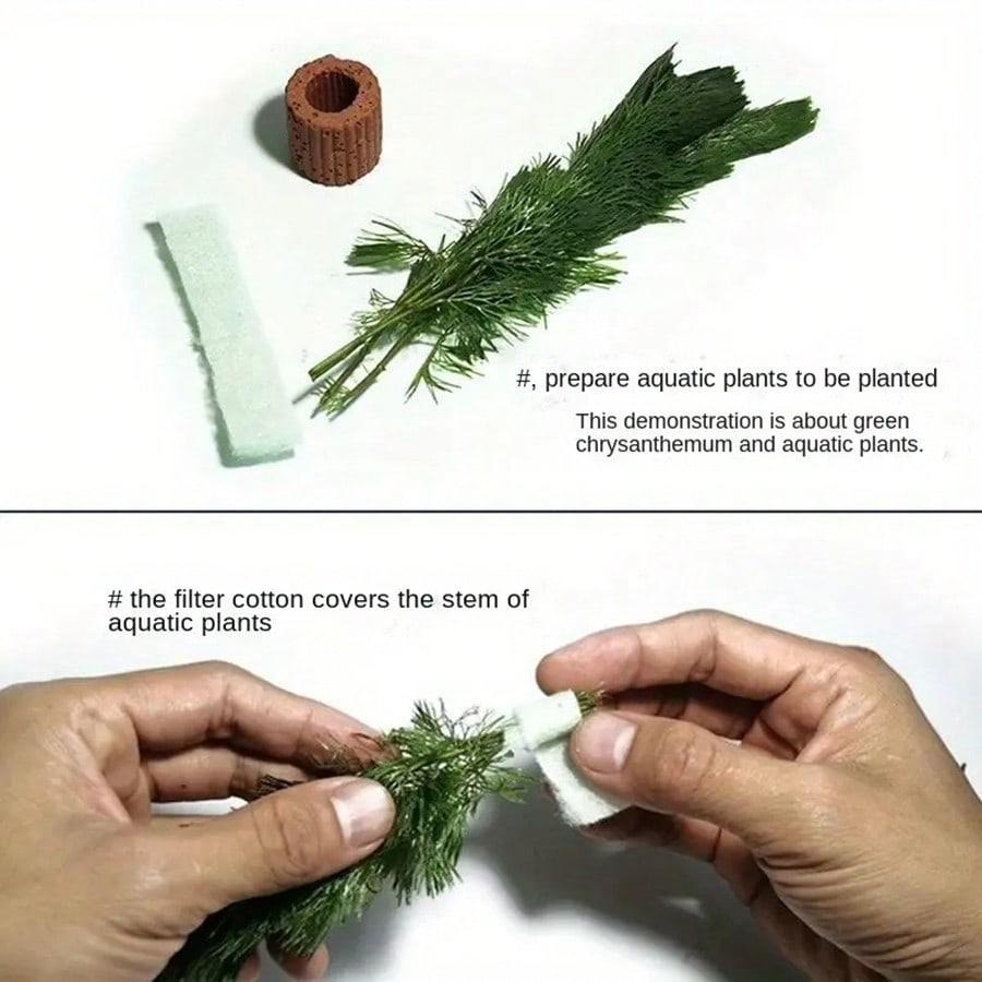High   Quality Aquarium Plant  - Aquarium Plant Rings ulasan dan harga
