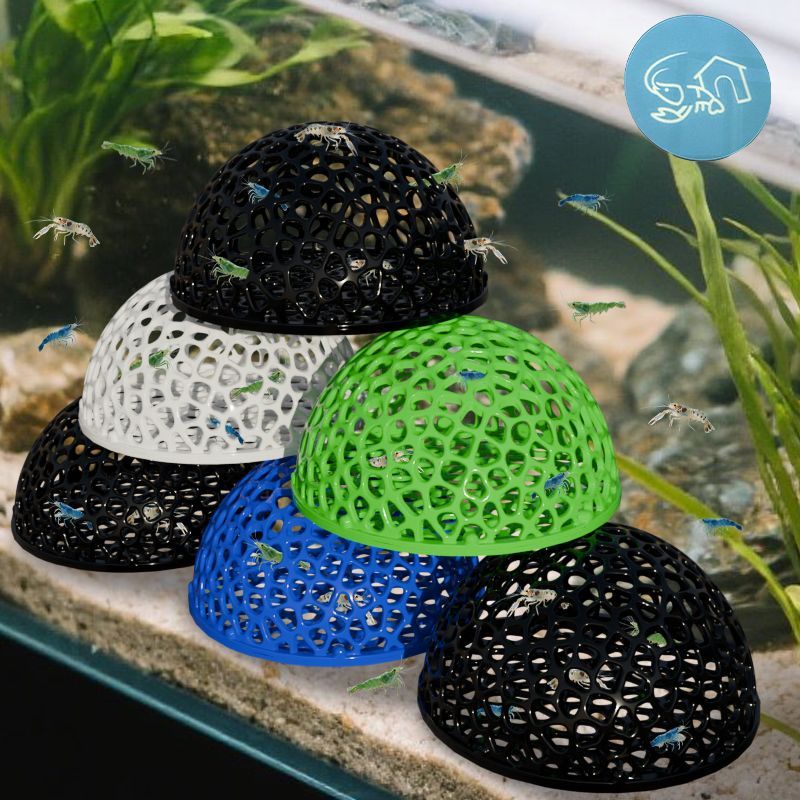 Aquarium Hideouts Cave Shelter - Aquarium Plant Rings ulasan dan harga