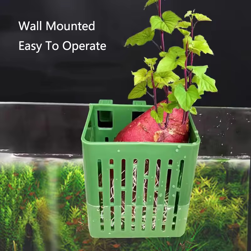 Fish Tank Water Grass Cup Aqua - Aquarium Plant Rings ulasan dan harga