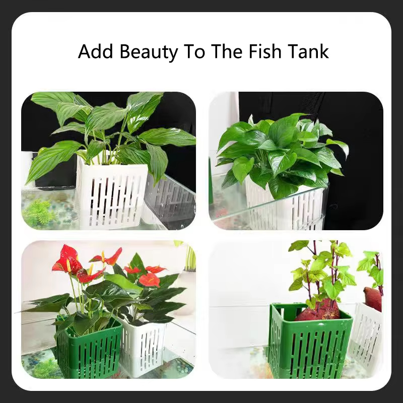 Fish Tank Water Grass Cup Aqua - Aquarium Plant Rings ulasan dan harga