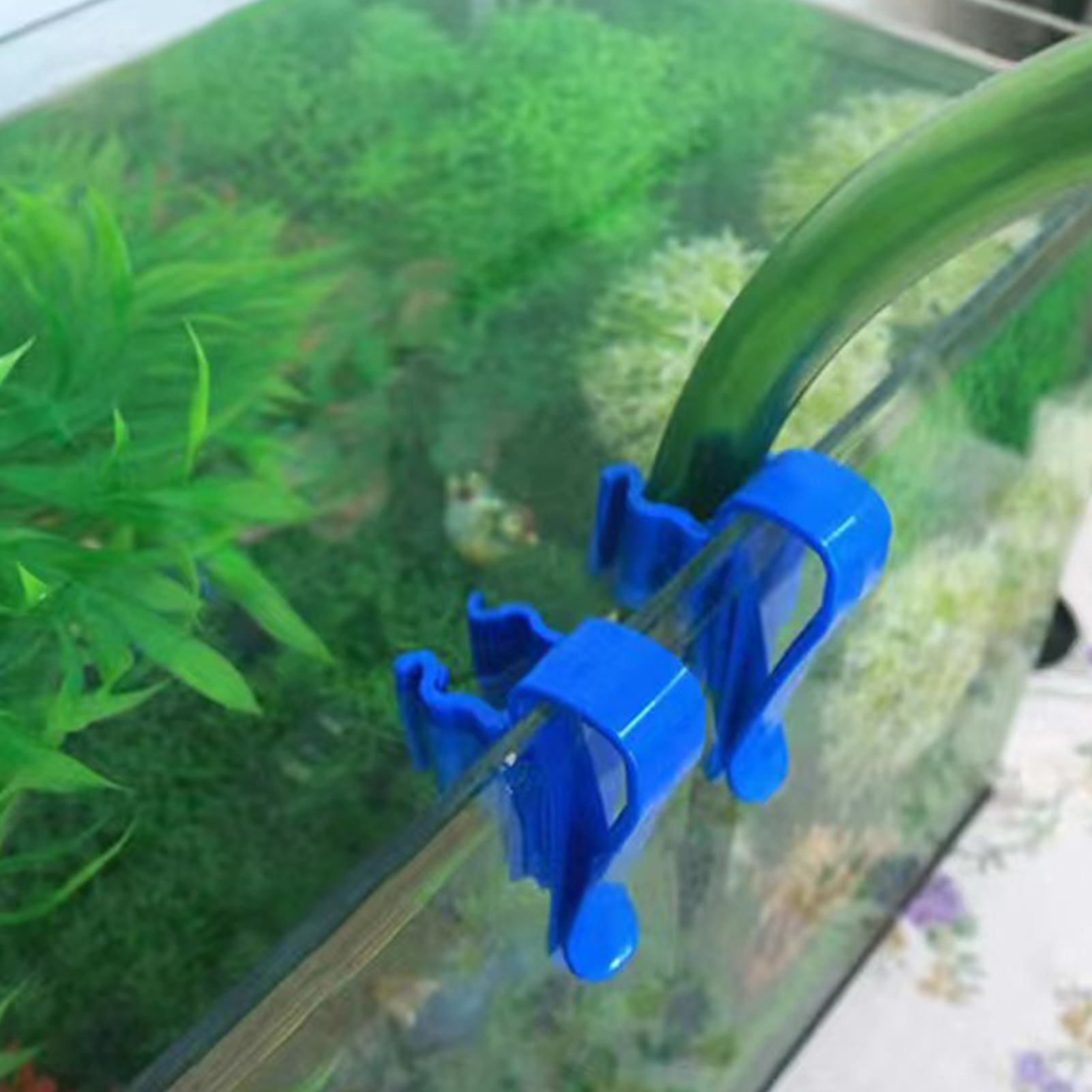 Aquarium Tube Holder Clip Fish - Planted Aquarium Tool Kit ulasan dan harga