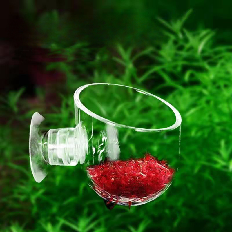 Acrylic Aquatic Plant Cup With - Planted Aquarium Accessories ulasan dan harga