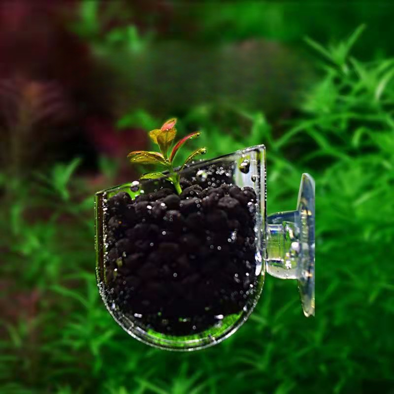 Acrylic Aquatic Plant Cup With - Planted Aquarium Accessories ulasan dan harga